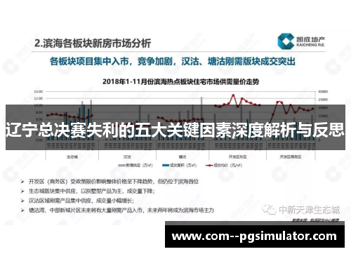 辽宁总决赛失利的五大关键因素深度解析与反思