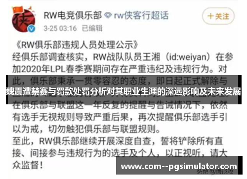 魏震遭禁赛与罚款处罚分析对其职业生涯的深远影响及未来发展 魏震遭禁赛与罚款处罚分析对其职业生涯的深远影响及未来发展